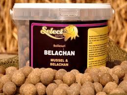 select baits  - index.jpg